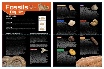 Dig & Discover Fossils Dig Kit