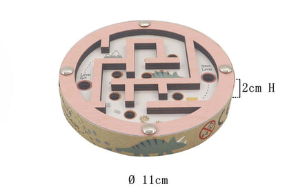 Dinosaur Maze In Disc Double Sided