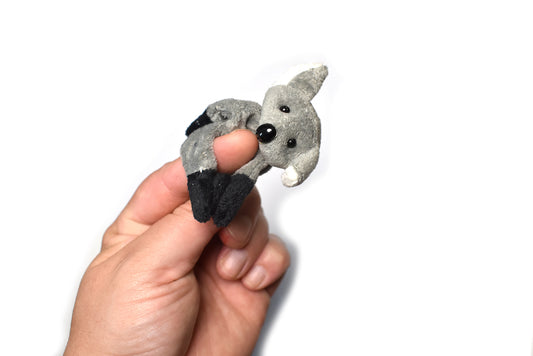 Magnetic Koala Black