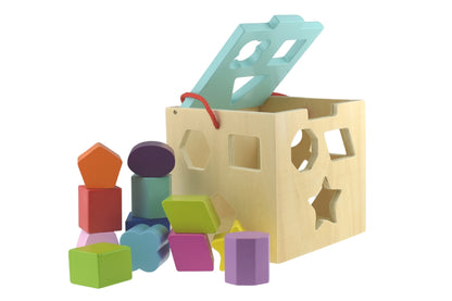 Shape Sorter With 12 Pcs Wooden Blocks